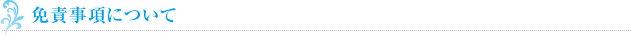 免責事項について
